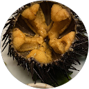 みかん三上 profile picture