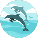 masaki nishimura profile picture